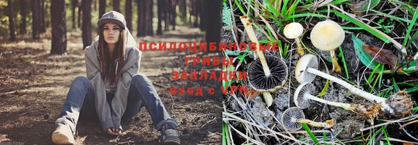 наркотики Богородск