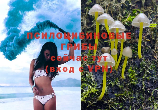 марки nbome Богданович