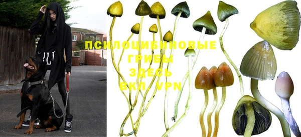 марки nbome Богданович